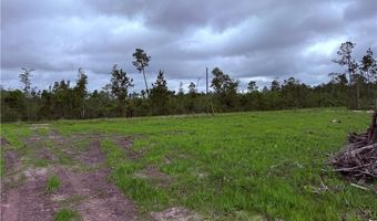 9 219 Ac Rhine Alma GA Rd, Alma, GA 31510