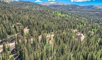553 NUTHATCH Dr, Alma, CO 80440