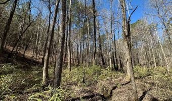 3 County Road 5112, Ethel, MS 38829