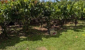 16-1774 40th Ave, Keaau, HI 96749
