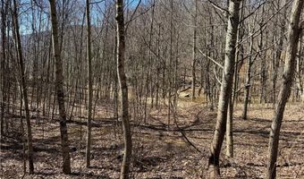 Lot # 70 Tall Tree Lane, Banner Elk, NC 28604