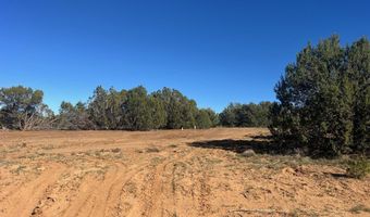 96 CR3041, Concho, AZ 85924