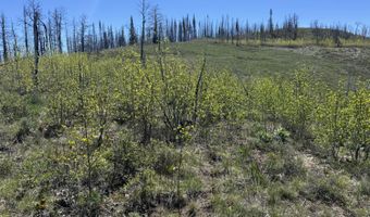 TBD MOUNTAIN VIEW Drive, Bondurant, WY 82922