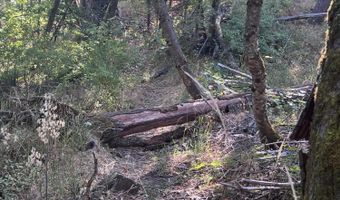 Timberlake Drive 391E25 132, Ashland, OR 97520