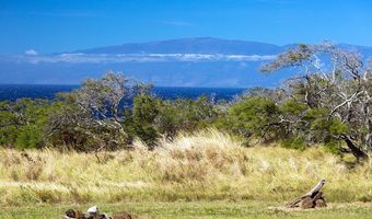 56-135 PUALANI Rd, Hawi, HI 96719