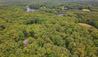00 Liberty Claybrook Rd, Beech Bluff, TN 38313