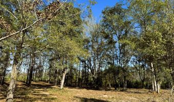 County Road 25, Banks, AL 36005
