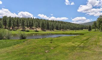 13 Woodlands, Angel Fire, NM 87710