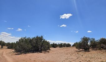 27 N 9183, Concho, AZ 85924