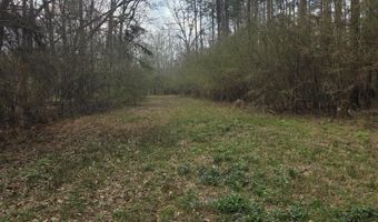 U.S. Highway 51, Bogue Chitto, MS 39629