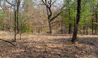Dover Drive lot 2 +/-43 Ac, Adams, WI 53910
