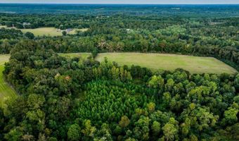 100 Acres Harmony Church Rd, Andalusia, AL 36421