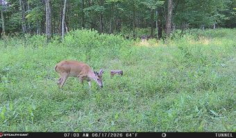 694 A Tunnel Ridge Rd, Argillite, KY 41121