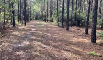 A 00 Hwy 220 W, Lincolnton, GA 30817