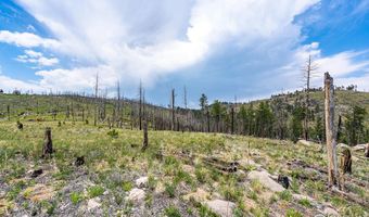 2384 Rist Creek Rd, Bellvue, CO 80512