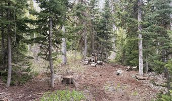 646 W Ski View Dr, Brian Head, UT 84719