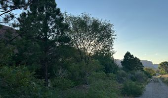 9 CHAMISA, Castle Valley, UT 84532
