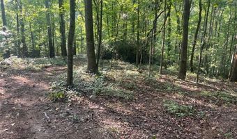 6 Acres Henry Scott, Ball Ground, GA 30107