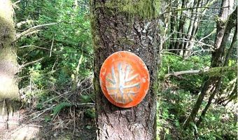 Nowakowski Rd, Banks, OR 97106
