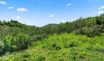 Trentaz Drive, Aspen, CO 81611