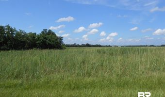 2 Jack Springs Rd, Atmore, AL 36502