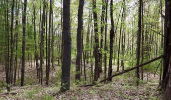 5826 S Morrison Rd, Alger, MI 48610