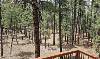 15 County Road 2065, Alpine, AZ 85920
