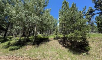 Calle de los Indios lot 44, Angel Fire, NM 87710