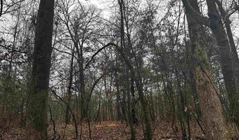 67 Old Wire Rd, Atkins, AR 72823