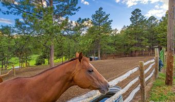 89 Aspen Leaf Ln, Bellvue, CO 80512