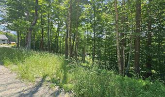 Sweeney Lane lot 49/50, Cambridge, VT 05464