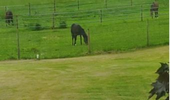 667 TWP RD 1275, Ashland, OH 44805