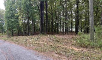 1 CENTURAS Cir 2, Alpine, AL 35014