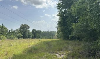 40 Ac +/- Old River Rd, Baker, FL 32531