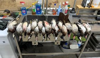 1037 Cr 300, Big Creek, MS 38914