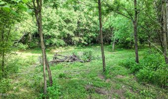 Middle Creek Road, Afton, TN 37616