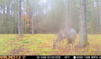 U.S. Highway 51, Bogue Chitto, MS 39629