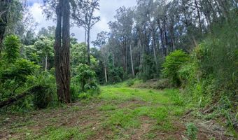 54-1749 PAIPO KANE Rd, Kapaau, HI 96755