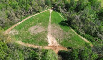 378 County Road 1219, Bardwell, KY 42023