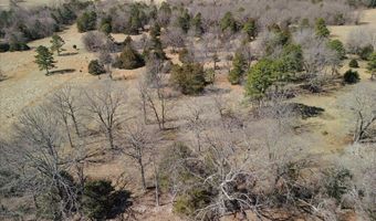 000 County Road 413, Alton, MO 65606