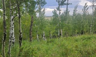 N 4600 E, Ashton, ID 83420