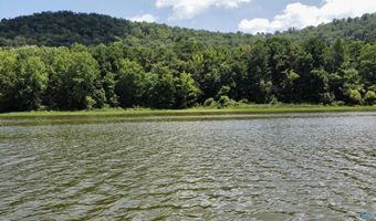148 Acres County Road 21, Ashville, AL 35953