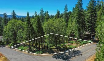 2690 Cheyenne Way, Arnold, CA 95223