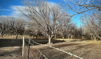 Highway 259, Anthony, NM 88021
