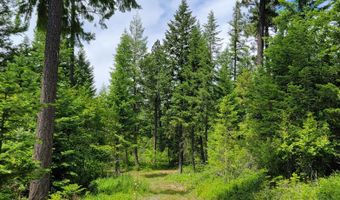 NNA Continental Lane-Tract 1, Bonners Ferry, ID 83805