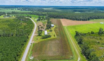 596 Teakwood Rd, Alma, GA 31510