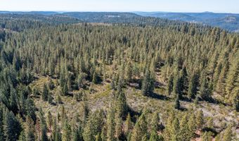 Kearsarge Mill Road, Alta, CA 95701