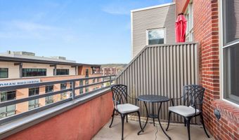 231 Robinson St 302, Basalt, CO 81621