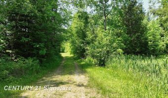 6002 Wildwood, Alger, MI 48610