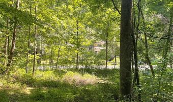 Martins Creek Road, Barnardsville, NC 28709